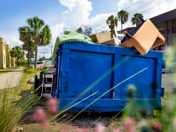 Best Junk Removal Near Me  in Lake Mathews, CA