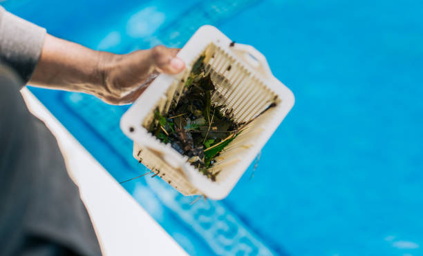 Best Trash Removal Near Me  in Lake Mathews, CA
